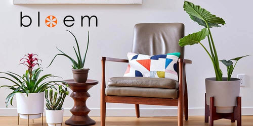 9 Excellent Bloem Planters to Enhance Your Home