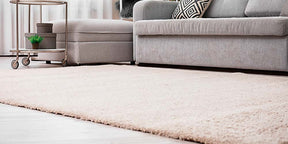 Las mejores soluciones de limpieza de alfombras para su hogar
