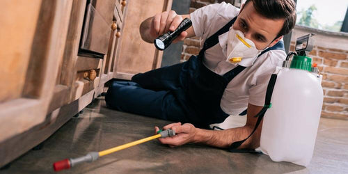 5 Successful Pest Control Methods for Your Home