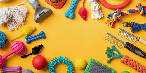 The ultimate pet supplies guide: Essentials for every pet owner