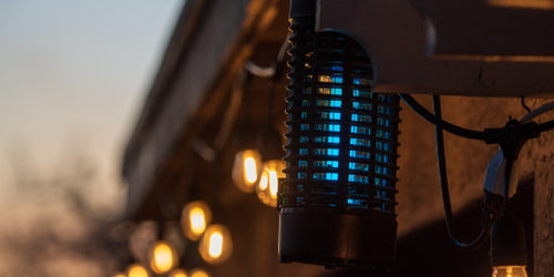 Learn how bug zappers work and why buying one is a good idea