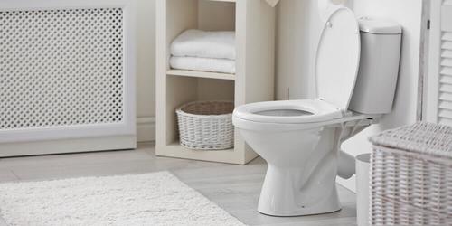 Solve Common Toilet Problems With This DIY Guide