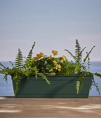 ¡Jardineras y mucho más!