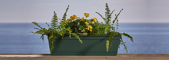 ¡Jardineras y mucho más!