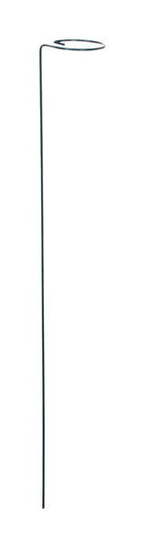 Panacea 24 in. H X 2 inch ft. W Green Steel Plant Support