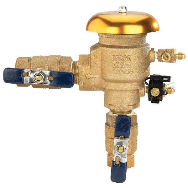 Interruptor de vacío de bronce de 1 pulg. FPT de Febco de 1 pulg. X 1 pulg. FPT de 1 pulg.