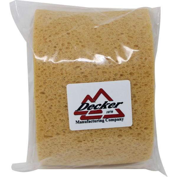 Esponja jorobada Decker