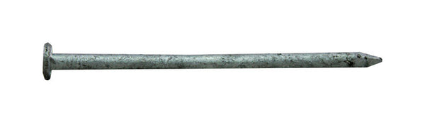 Pro-Fit 3-1/4 in. Common Hot-Dipped Galvanized Steel Nail Flat Head 1 lb
