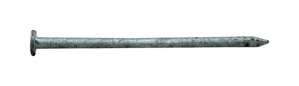 Pro-Fit 3-1/4 in. Common Bright Steel Nail Flat Head 5 lb