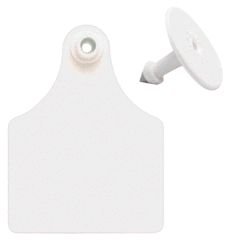 Etiqueta de oreja en blanco