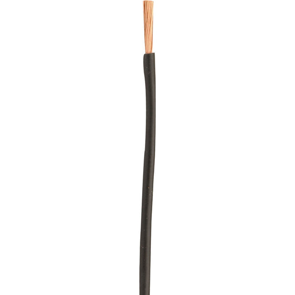 Coleman Cable 100 ft. Stranded 10 Ga. Primary Wire Black