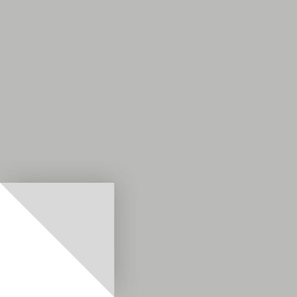 Samplize Benjamin Moore Coventry Gray Peel & Stick Color Sample HC-169 (Pack of 8)