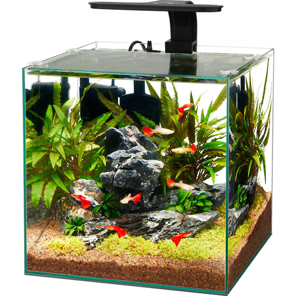 Acuario cúbico sin marco Aqueon