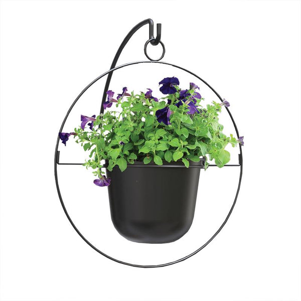Panacea 17 in. D Metal Round Ring Hanging Planter Black (Pack of 6)