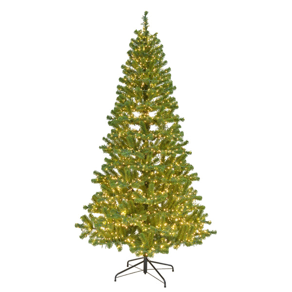 TREE DALTON CLSTR WW 7'