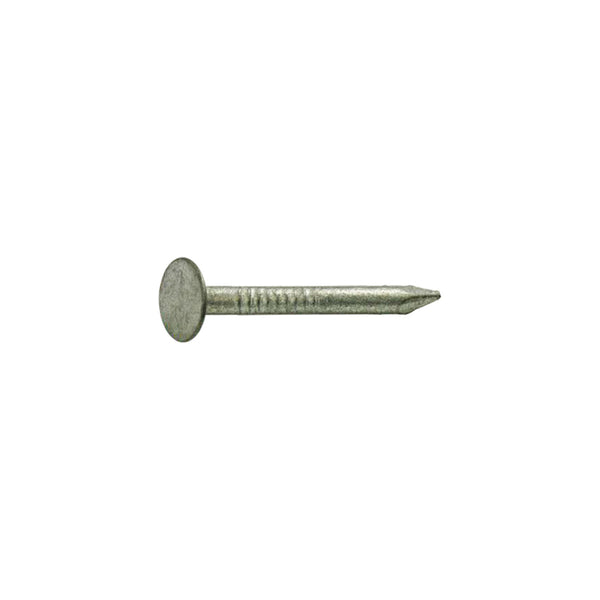 Grip-Rite 2-1/2 in. Roofing Hot-Dipped Galvanized Steel Nail Round 1 lb. (Pack of 12)
