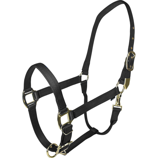 Halter ajustable dorado Gatsby con broche
