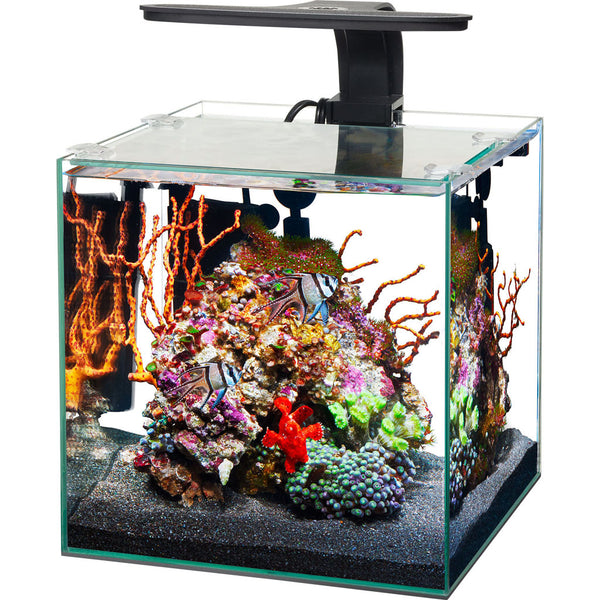 Acuario cúbico sin marco Aqueon