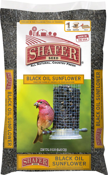 Shafer Black Oil Sunflower