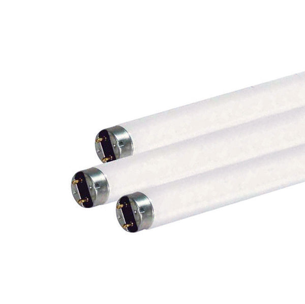 Satco 15 W T8 1 in. D X 17.78 in. L Fluorescent Bulb Daylight Linear 6500 K (Pack of 24)