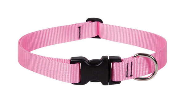 Collar ajustable de nailon para perros de LupinePet Basic Solids de color rosa
