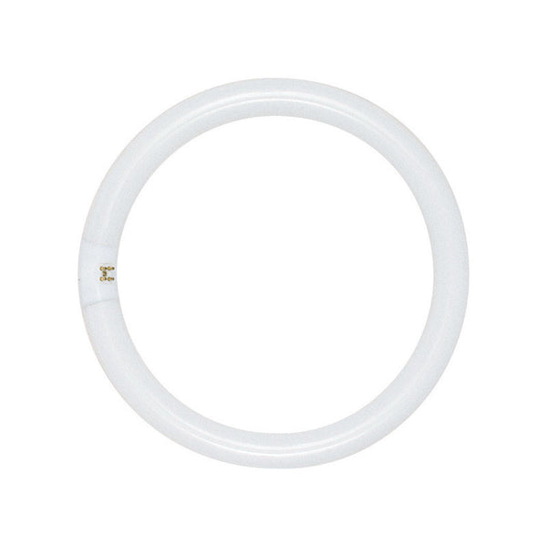 Bombilla fluorescente Satco Circline de 22 W T9 de 1,13 pulg. de diámetro y 8 pulg. de largo, luz diurna, tubular, 6500 K, paquete de 1