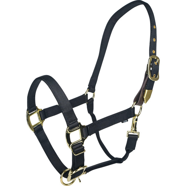 Cabestro de seguridad ajustable Gatsby Gold