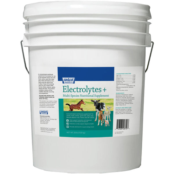 Suplemento multiespecie de electrolitos plus