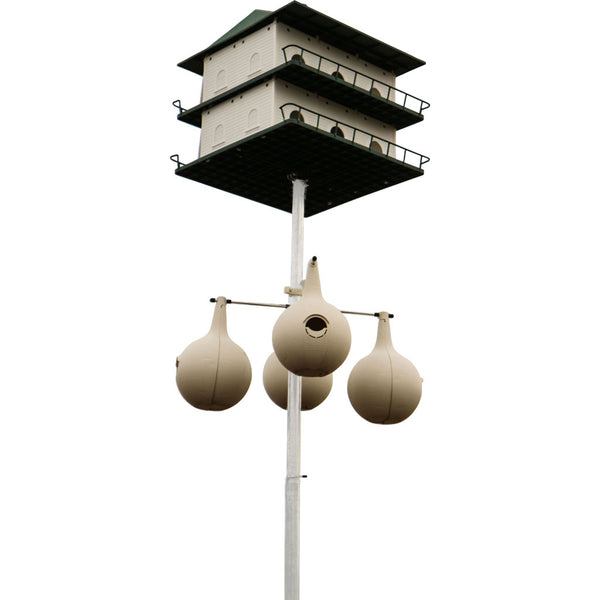 Kit de poste para casa de golondrinas purpúreas con soporte para calabazas