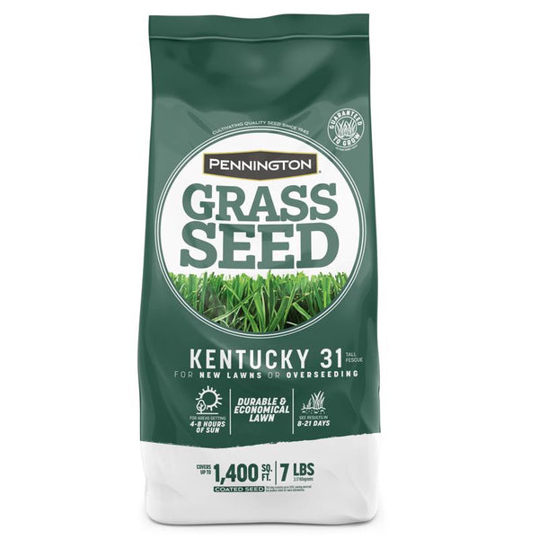 Semillas de césped para sol o sombra de césped alto Pennington Kentucky 31, 7 lb