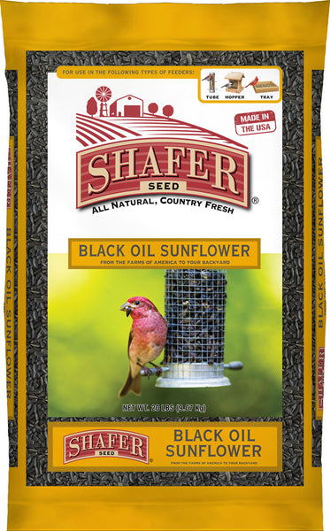 Shafer Black Oil Sunflower