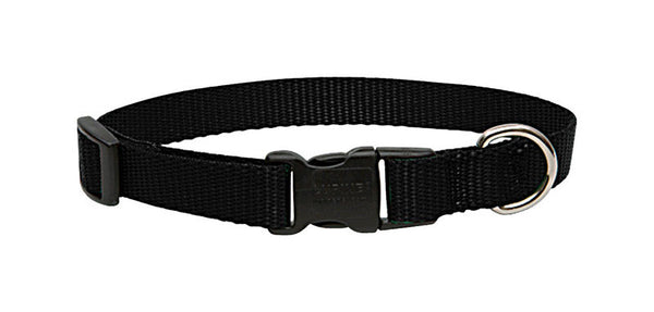 Collar ajustable de nailon para perros de color negro y liso de LupinePet Basic