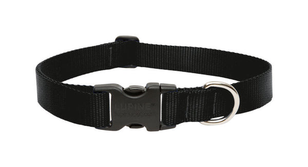 Collar ajustable de nailon para perros de color negro y liso de LupinePet Basic