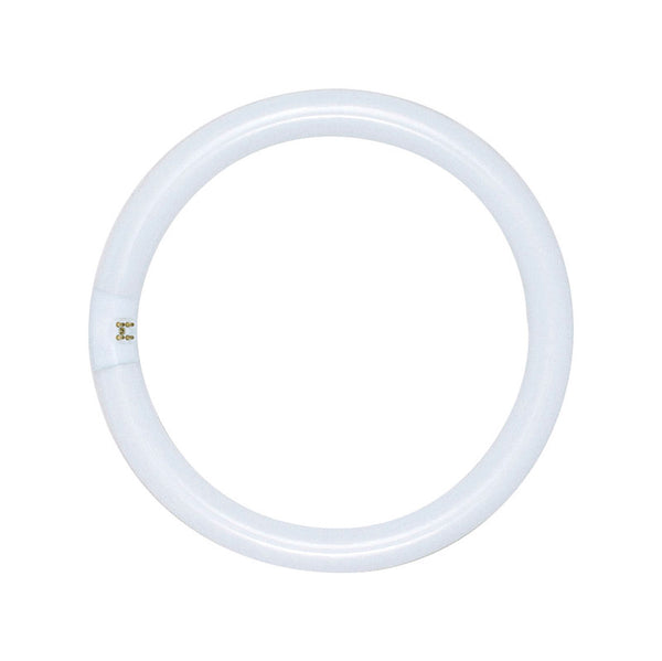 Satco 32 W T9 1.13 in. D X 12 in. L Circline Fluorescent Bulb Daylight Tubular 6500 K 1 pk