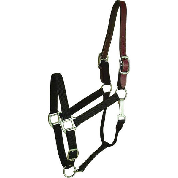 Halter de nailon con abertura Gatsby