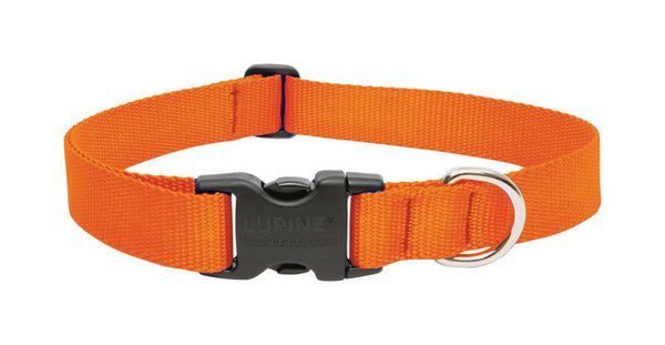 Collar ajustable de nailon para perros de color naranja brillante de LupinePet Basic Solids