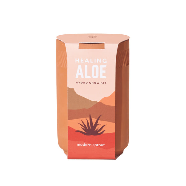 Modern Sprout Healing Aloe Succulent Seed Starter Kit (Pack of 6)