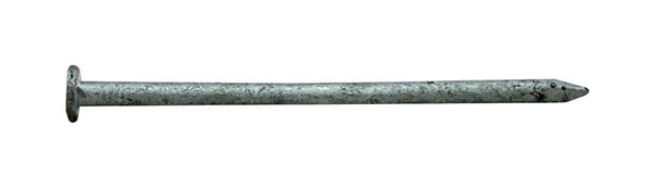 Pro-Fit 2 in. Common Hot-Dipped Galvanized Steel Nail Flat Head 5 lb