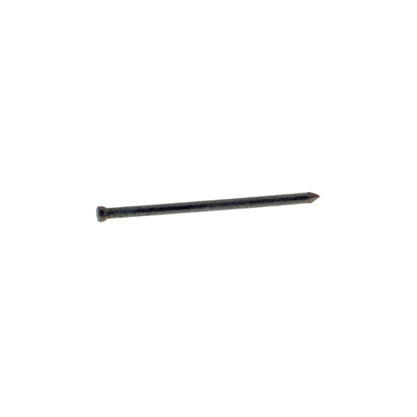 Grip-Rite 8D 2-1/2 in. Finishing Hot-Dipped Galvanized Steel Nail Brad 1 lb. (Pack of 12)