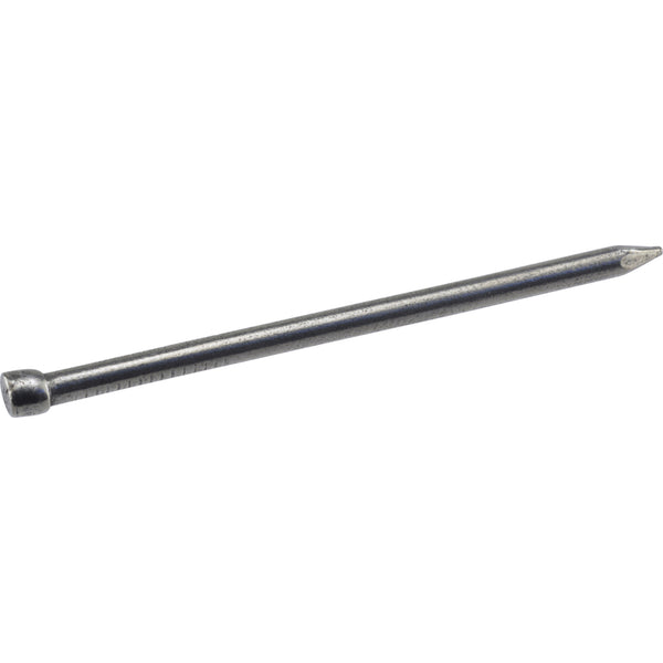 Hillman 6D 2 in. L Finishing Polished Steel Nail Smooth Shank Large (Pack of 6)