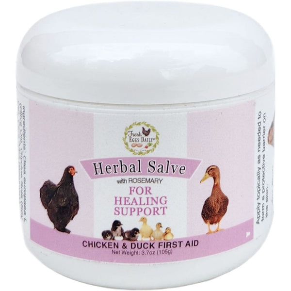 Herbal Salve With Rosemary For Healing Support