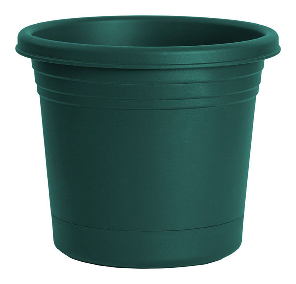 PLANTER RUGG GRN 6"