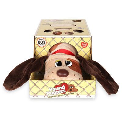 ASSTD Pound Puppies (Pack of 2)