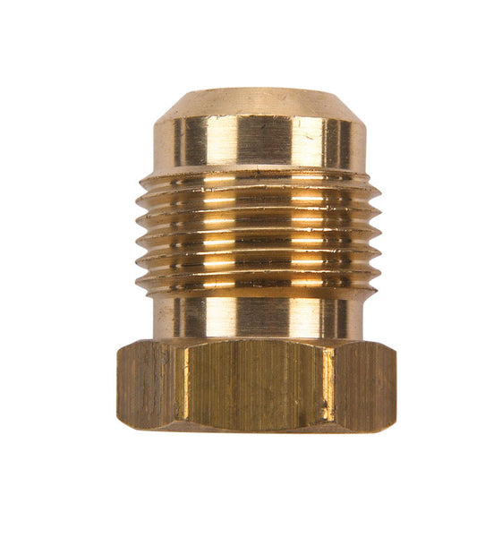 JMF 1/4 in. Flare Yellow Brass Hex Plug (Pack of 5)