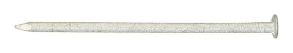 Pro-Fit 4D 1-1/2 in. Box Hot-Dipped Galvanized Steel Nail Flat Head 50 lb