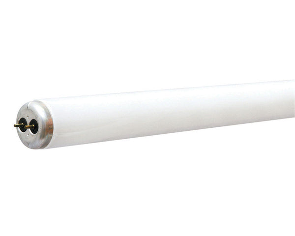 Westinghouse Rapid Start 25 watt T8 36 in. L Fluorescent Bulb Cool White Linear 3500 K 1 pk (Pack of 6)