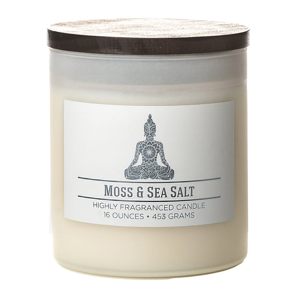 Colonial Candle White Moss amd Sea Salt Scent Jar Candle 4.5 in. H X 3.75 in. D 16 oz (Pack of 4)