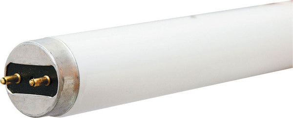 GE 32 watts T8 48 in. L Fluorescent Bulb Warm White Linear 3000 K 36 pk