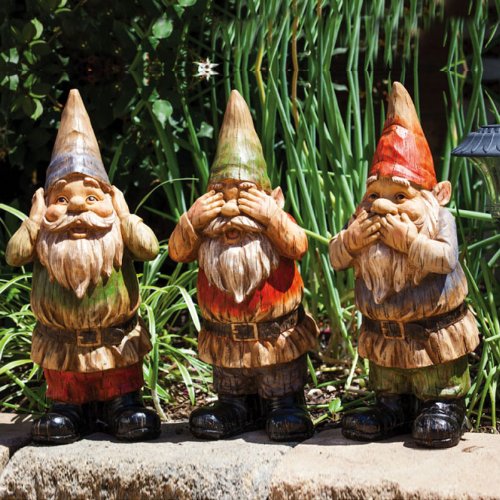 WISE GNOME
