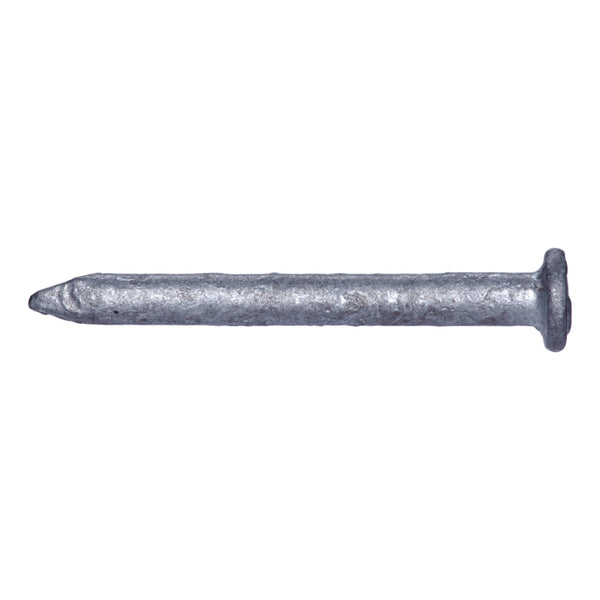 Pro-Fit 1-1/4 in. Joist Hanger Hot-Dipped Galvanized Steel Nail Flat 50 lb.